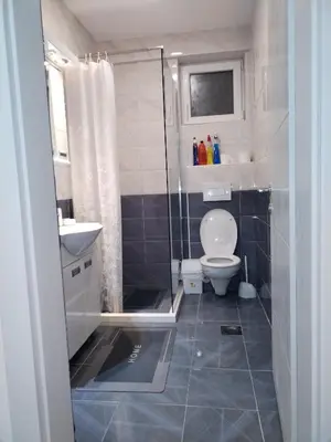a bathroom with a shower and a toilet and a sink at Apartman Ristic Vrnjacka banja in Vrnjačka Banja