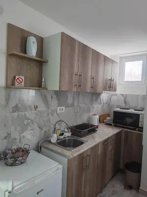 a kitchen with a sink and a microwave at Apartman Ristic Vrnjacka banja in Vrnjačka Banja