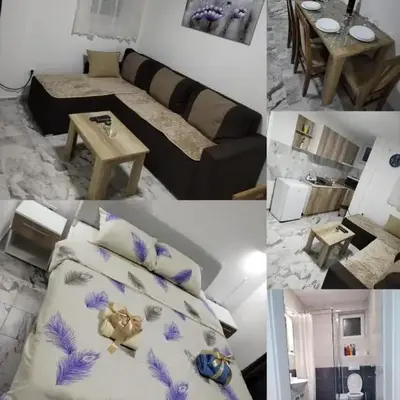 Apartman Ristic Vrnjacka banja