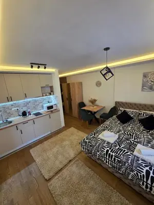 a living room with a bed and a kitchen with a sink at Panoramic Nest in Vrnjačka Banja