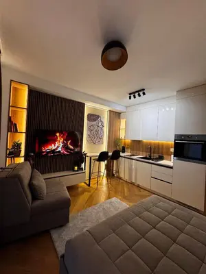 a living room with a couch and a kitchen with a fireplace at Studio Georgijev in Vrnjačka Banja