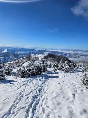 a snow covered mountain with footprints in the snow at Apartmani Kraljevi Čardaci in Kopaonik