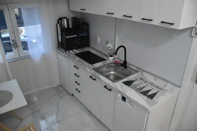a small kitchen with a sink and a microwave at Fiko Apartment in Niš