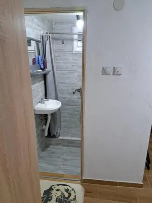 a bathroom with a shower and a sink at Hostel Lalinac in Lalince