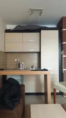 a kitchen with a table and a sink and a couch at Zoned spa aparman in Kopaonik