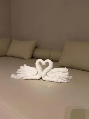two towels in the shape of swans on a couch at Hedonist in Jagodina