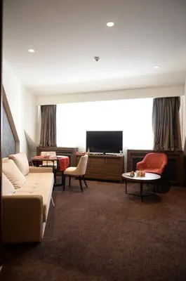 a living room with a couch and a flat screen tv at Deluxe Studio 19, Kula, Konaci, Kopaonik