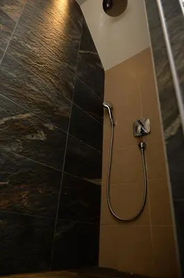 a shower with a shower head in a bathroom at Deluxe Studio 19, Kula, Konaci, Kopaonik