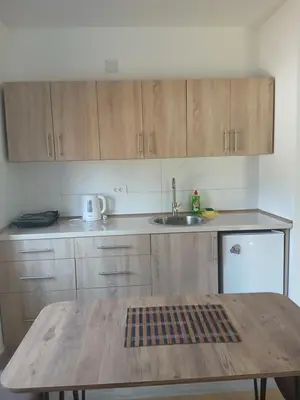 a kitchen with a wooden table and a sink at Studio Carina in Soko Banja
