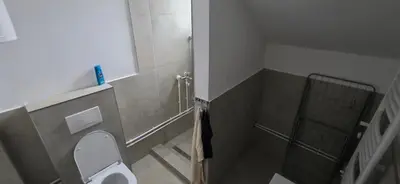 a small bathroom with a toilet and a shower at Pansion Mima in Niš