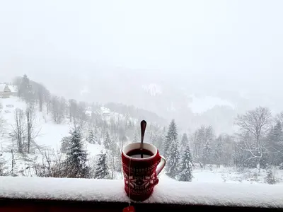 a cup of coffee sitting on a window sill in the snow at VILA KRUNA Apartments in Kopaonik