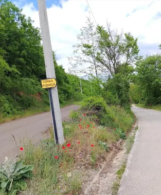 a street sign on the side of a road at Šumarac