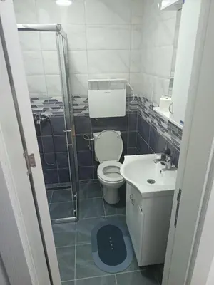 a bathroom with a shower and a toilet and a sink at DA apartman in Vrnjačka Banja