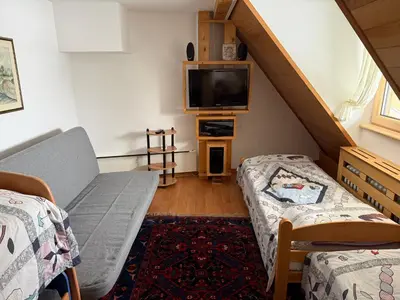 a living room with a couch and a tv at Konaci Spacious Studio in the Heart of the Slopes in Kopaonik