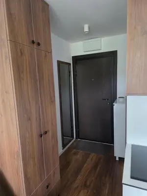 a room with wooden cabinets and a black door at Sky Nest Kopaonik in Kopaonik