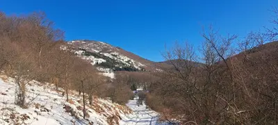 a snow covered mountain with trees and a road at Koliba boema in Despotovac