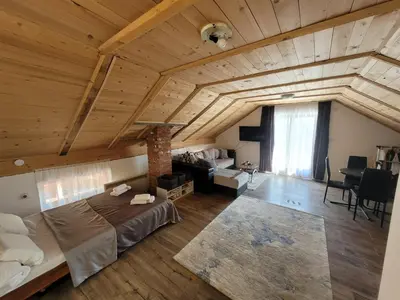 a large room with a bed and a living room at Kalina in Vlasina Okruglica