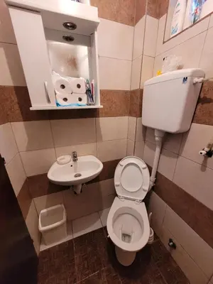 a small bathroom with a toilet and a sink at Kalina in Vlasina Okruglica