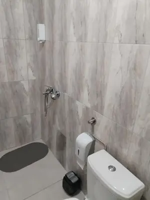a bathroom with a white toilet and a shower at Etno kuca Brzece in Brzeće