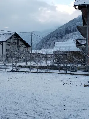 a field covered in snow with buildings and birds at Etno kuca Brzece in Brzeće