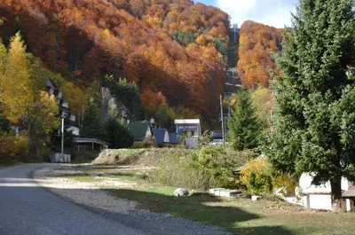 a road with trees on the side of a mountain at Bela Reka 204 in Brzeće