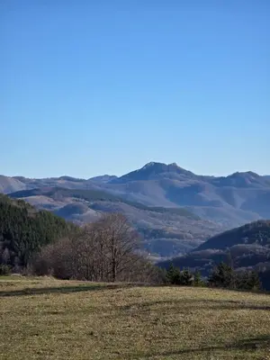 a field of grass with mountains in the background at Bela Reka 204 in Brzeće