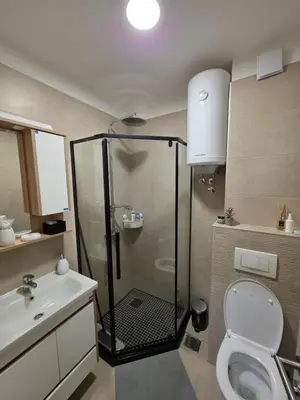 a bathroom with a shower and a toilet and a sink at Bela Reka 204 in Brzeće