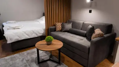 a living room with a couch and a bed at Apart-Hotel Bela Reka in Brzeće