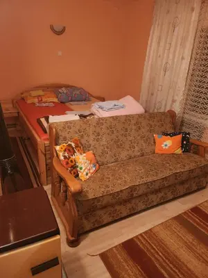 a living room with a couch and a bed at Vila Vera Jastrebac in Buci