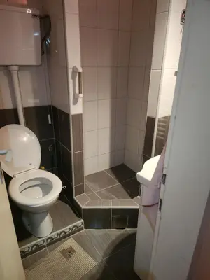 a bathroom with a toilet and a shower at Vila Vera Jastrebac in Buci