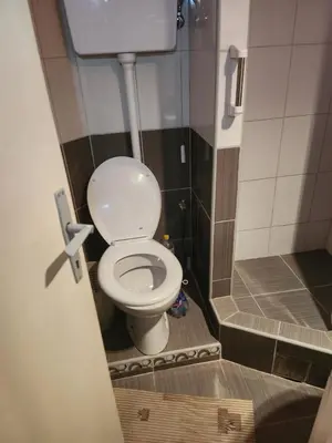 a small bathroom with a toilet and a shower at Vila Vera Jastrebac in Buci