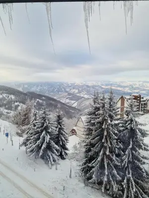 a group of snow covered trees on a ski slope at SkyLux Apartments Kopaonik - Residence Hill in Kopaonik