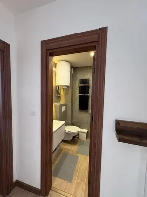 a bathroom with a toilet and a sink at Mountain Hut Kopaonik in Kopaonik