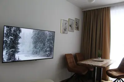 a living room with a flat screen tv on a wall at Winter Tale in Kopaonik