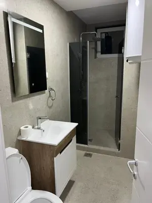 a bathroom with a toilet and a sink and a shower at Saška Apartments in Niš
