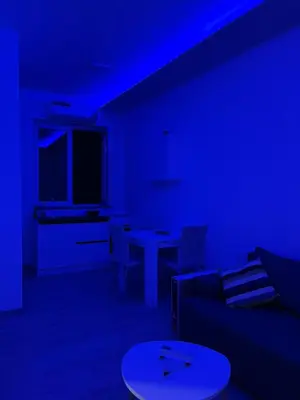 a blue room with a couch and a table at Saška Apartments in Niš