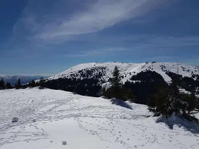 a snow covered mountain with trees on top of it at Apartments Sia in Kopaonik