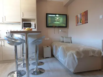a small room with a bed and a table and a tv at Apartments Sia in Kopaonik