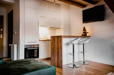 a living room with a couch and a counter with a fireplace at Apartman B24 Vidik Residence in Kopaonik