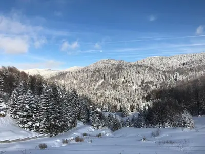 a snow covered mountain with trees and mountains at Vila Nina Kopaonik in Kopaonik