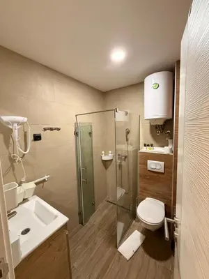 a bathroom with a shower and a toilet and a sink at Mountain Nest - Milmari Resort & Spa in Kopaonik