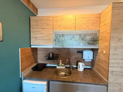 a kitchen with a sink and a counter top at Mountain Nest - Milmari Resort & Spa in Kopaonik