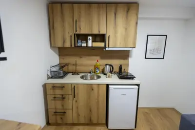a kitchen with wooden cabinets and a sink and a dishwasher at Bakina kuca in Pirot