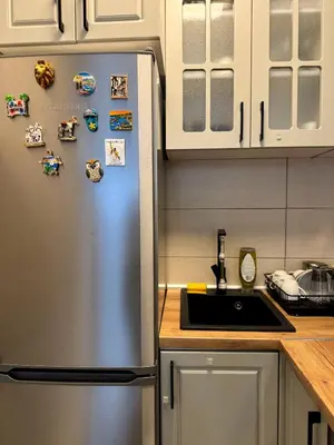 a kitchen with a stainless steel refrigerator with magnets at Royal apartmani 42 in Vrnjci