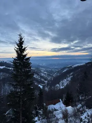 a pine tree on top of a snow covered mountain at Rajski Kutak Kopaonik in Kopaonik