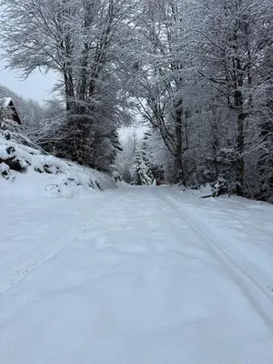 a snow covered road with trees in the background at Rajski Kutak Kopaonik in Kopaonik