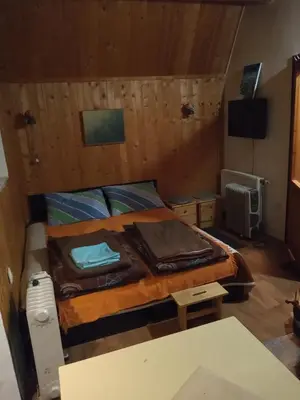 a bedroom with a bed and a tv in it at KOPANIKSkiRooms in Kopaonik