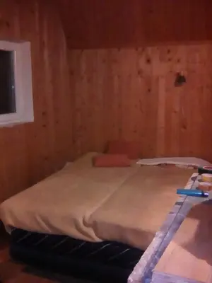 a room with a bed in a wooden wall at KOPANIKSkiRooms in Kopaonik