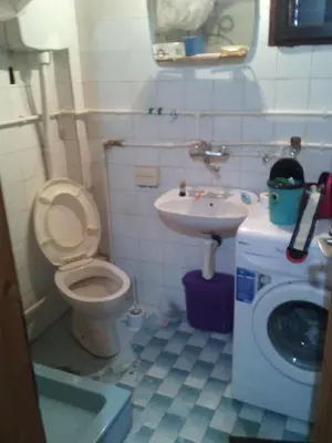 a small bathroom with a toilet and a sink at KOPANIKSkiRooms in Kopaonik
