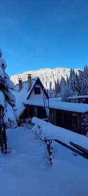 a house covered in snow with trees in the background at KOPANIKSkiRooms in Kopaonik